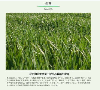 MCT大麦若葉粉末 5g×52包（機能性表示食品）　山本漢方製薬[027Y16]