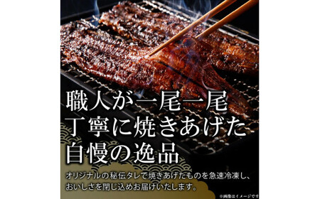 老舗のうなぎ　【特選上長焼】５尾セット（秘伝のタレ・山椒付）[081N06]