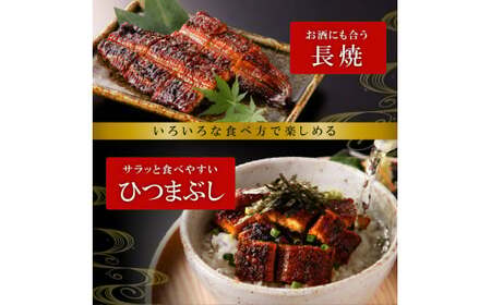 老舗のうなぎ　【特選上長焼】５尾セット（秘伝のタレ・山椒付）[081N06]