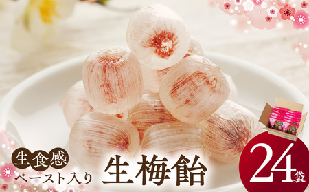 生梅飴[109R02] 梅飴 梅キャンディ 紀州 南高梅 梅肉エキス ペースト お菓子 あめ キャンディー 飴 個包装 袋 リボン RIBON