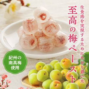 生梅飴[109R02] 梅飴 梅キャンディ 紀州 南高梅 梅肉エキス ペースト お菓子 あめ キャンディー 飴 個包装 袋 リボン RIBON