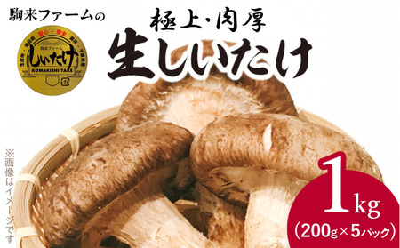 しいたけ・椎茸『駒来ファームの 極上・肉厚 生しいたけ』 極上しいたけ 肉厚しいたけ 生しいたけ 生シイタケ 生椎茸 安心椎茸 安全椎茸 国産しいたけ（椎茸） 採れたて 新鮮しいたけ（椎茸） きのこ 野菜 [131L01]