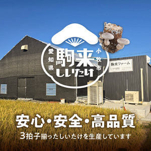 しいたけ・椎茸『駒来ファームの 極上・肉厚 生しいたけ』 極上しいたけ 肉厚しいたけ 生しいたけ 生シイタケ 生椎茸 安心椎茸 安全椎茸 国産しいたけ（椎茸） 採れたて 新鮮しいたけ（椎茸） きのこ 野菜 [131L01]
