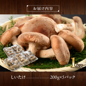 しいたけ・椎茸『駒来ファームの 極上・肉厚 生しいたけ』 極上しいたけ 肉厚しいたけ 生しいたけ 生シイタケ 生椎茸 安心椎茸 安全椎茸 国産しいたけ（椎茸） 採れたて 新鮮しいたけ（椎茸） きのこ 野菜 [131L01]