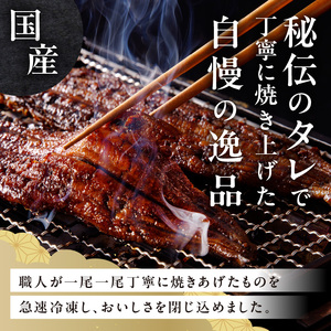 老舗のうなぎ 【きざみうなぎ】15袋セット（秘伝のタレ付）　[081N09]