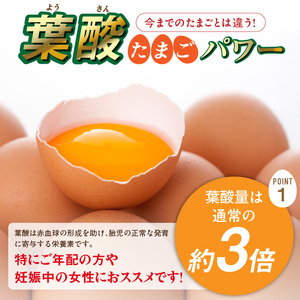 【山ちゃん家の生みたて葉酸たまご】名古屋コーチン卵（30個入り）[132Y01]　 新鮮たまご 産地直送たまご 大容量 高級たまご 地鶏 たまご 卵 玉子 タマゴ 葉酸卵 妊娠中 高齢者 朝食 卵料理 卵かけご飯 卵焼き 目玉焼き 山田養鶏 お取り寄せグルメ 
