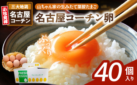 【山ちゃん家の生みたて葉酸たまご】名古屋コーチン卵（40個入り）[132Y02]　 新鮮たまご 産地直送たまご 大容量 高級たまご 地鶏 たまご 卵 玉子 タマゴ 葉酸卵 妊娠中 高齢者 朝食 卵料理 卵かけご飯 卵焼き 目玉焼き 山田養鶏 お取り寄せグルメ 