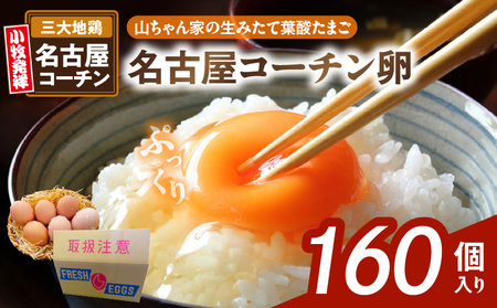 【山ちゃん家の生みたて葉酸たまご】名古屋コーチン卵（160個入り）[132Y04]　 新鮮たまご 産地直送たまご 大容量 高級たまご 地鶏 たまご 卵 玉子 タマゴ 葉酸卵 妊娠中 高齢者 朝食 卵料理 卵かけご飯 卵焼き 目玉焼き 山田養鶏 お取り寄せグルメ 