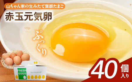 【山ちゃん家の生みたて葉酸たまご】赤玉元気卵（40個入り）[132Y06]　新鮮たまご 産地直送たまご 大容量 高級たまご 地鶏 たまご 卵 玉子 タマゴ 葉酸卵 妊娠中 高齢者 朝食 卵料理 卵かけご飯 卵焼き 目玉焼き 山田養鶏 お取り寄せグルメ 
