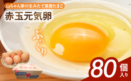 【山ちゃん家の生みたて葉酸たまご】赤玉元気卵（80個入り）[132Y07]　 新鮮たまご 産地直送たまご 大容量 高級たまご 地鶏 たまご 卵 玉子 タマゴ 葉酸卵 妊娠中 高齢者 朝食 卵料理 卵かけご飯 卵焼き 目玉焼き 山田養鶏 お取り寄せグルメ 