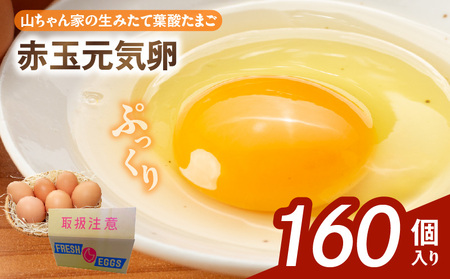 【山ちゃん家の生みたて葉酸たまご】赤玉元気卵（160個入り）[132Y08]　 新鮮たまご 産地直送たまご 大容量 高級たまご 地鶏 たまご 卵 玉子 タマゴ 葉酸卵 妊娠中 高齢者 朝食 卵料理 卵かけご飯 卵焼き 目玉焼き 山田養鶏 お取り寄せグルメ 