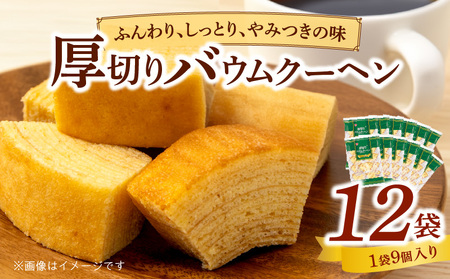 エースベーカリー　厚切りバウムクーヘン　9個×12袋［134T01］