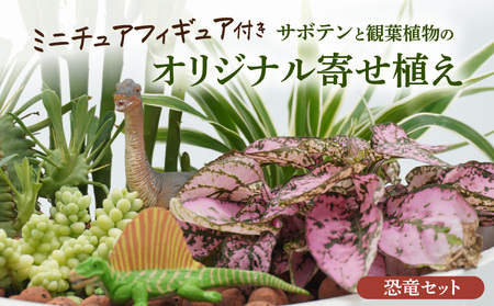 サボテンと観葉植物のオリジナル寄せ植え【恐竜セット】[133O05] 本格サボテン 産地直送サボテン フィギュア付き インテリア サボテンギフト プレゼント オシャレ かわいい サボテン寄せ植え オリジナルサボテン 人気サボテン 多肉植物