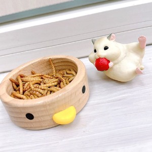 fuu オーガニックfuuミルワーム（大）[145S23]