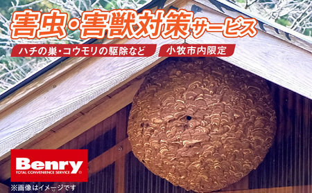 害虫、害獣対策サービス[067S13]