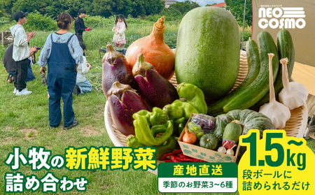 ★障がい者支援施設応援品★ ネオコスモ農園で採れた小牧の野菜詰め合わせ[124N02]