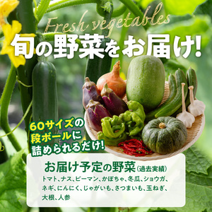 ★障がい者支援施設応援品★ ネオコスモ農園で採れた小牧の野菜詰め合わせ[124N02]