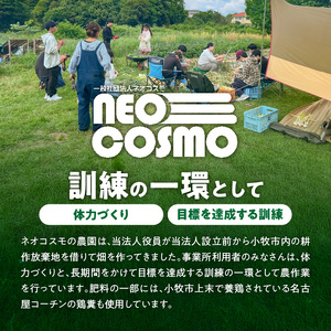 ★障がい者支援施設応援品★ ネオコスモ農園で採れた小牧の野菜詰め合わせ[124N02]