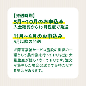 ★障がい者支援施設応援品★ ネオコスモ農園で採れた小牧の野菜詰め合わせ[124N02]