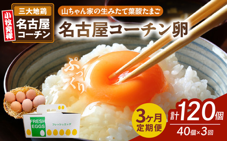 【3ヶ月定期便】【山ちゃん家の生みたて葉酸たまご】名古屋コーチン卵（40個入り）［132Y03-T］