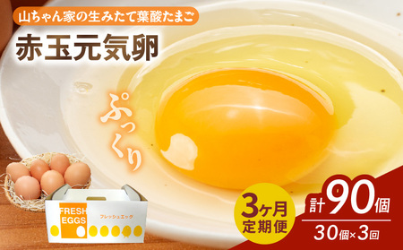 【3ヶ月定期便】【山ちゃん家の生みたて葉酸たまご】赤玉元気卵（30個入り）［132Y05-T］