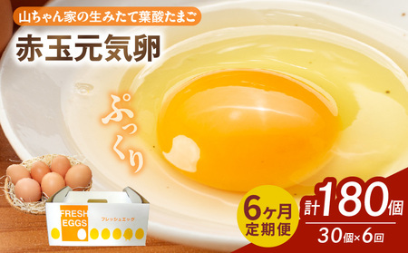 【6ヶ月定期便】【山ちゃん家の生みたて葉酸たまご】赤玉元気卵（30個入り）［132Y06-T］