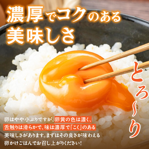 【6ヶ月定期便】【山ちゃん家の生みたて葉酸たまご】赤玉元気卵（30個入り）［132Y06-T］