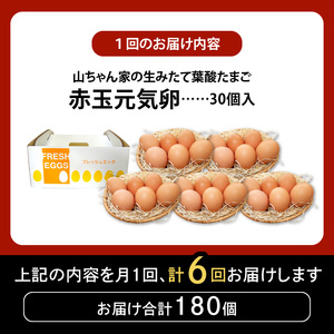 【6ヶ月定期便】【山ちゃん家の生みたて葉酸たまご】赤玉元気卵（30個入り）［132Y06-T］
