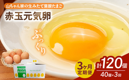 【3ヶ月定期便】【山ちゃん家の生みたて葉酸たまご】赤玉元気卵（40個入り）［132Y07-T］