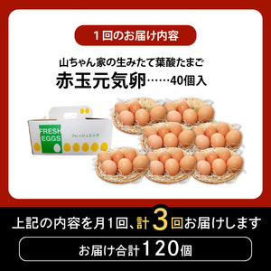 【3ヶ月定期便】【山ちゃん家の生みたて葉酸たまご】赤玉元気卵（40個入り）［132Y07-T］