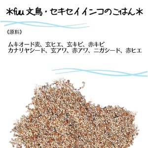 【3ヶ月定期便】fuu 文鳥・セキセイインコのごはん（10kg）［145S48-T］