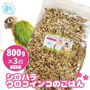 【3ヶ月定期便】fuu シロハラインコ・ウロコインコのごはん（800g）［145S57-T］