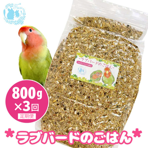 【3ヶ月定期便】fuu ラブバードのごはん（800g）［145S63-T］