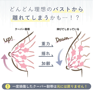 極楽ブラ（ナイトブラ）［173N46］