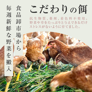 【医師監修】野菜を食べて育った平飼いの卵「もみじ卵」（30個入り）［154T02］