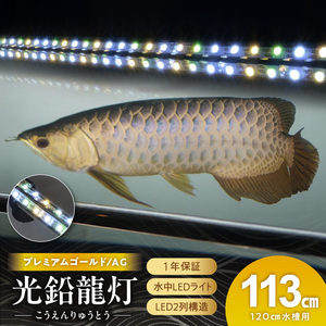 水槽全体を明るく照らし、鱗を際立たせる!金龍専用の高輝度水中ライト|AG120-EX［172C17］金龍 専用 プレミアムゴールド 水中 アロワナ 高輝度 水槽ライト テンニングライト グラデーション 3色 LED ライト 照明 水中照明 光 綺麗 強化ガラス 吸盤 1年保証 簡単 設置 でんらい インテリア 雑貨 愛知県 小牧市 送料無料