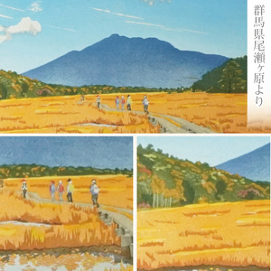 版画「草もみじ（尾瀬ヶ原）」 ［201M03］ 版画 草もみじ 尾瀬ヶ原