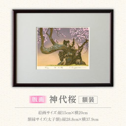 版画「神代桜」 ［201M08］ 版画 神代桜 桜 特別天然記念物 日本三大桜