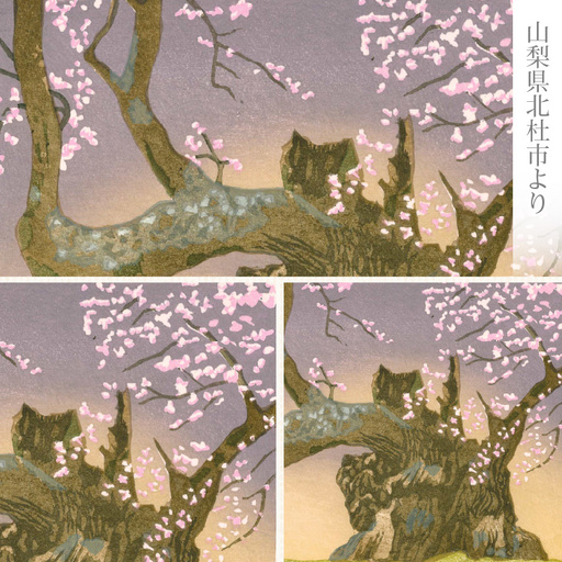 版画「神代桜」 ［201M08］ 版画 神代桜 桜 特別天然記念物 日本三大桜