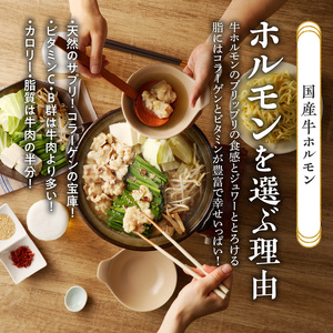 山樹の本格味噌もつ鍋　３～４人前セット [047R07]牛もつ鍋 ホルモン鍋 味噌もつ鍋 冷凍もつ鍋 もつ鍋 自家製もつ鍋 かんたんなべ あったかなべ