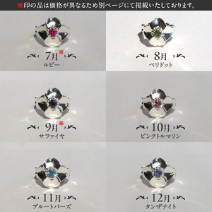 SV 桜とハナミズキのベビーリング【ネックレス付】（1.2.6.8.10.11.12月）スターリングシルバー[016K17]