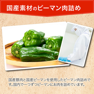 国産豚で作ったピーマン肉詰め(10袋セット)[022J05]