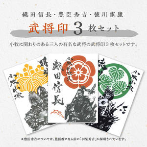 織田信長武将印・豊臣秀吉武将印・徳川家康武将印3枚セット [063K05]