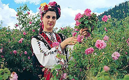 マリーアントワネット 500ml×2本入 / 佐賀県 / 株式会社Rose [41AAAS011]