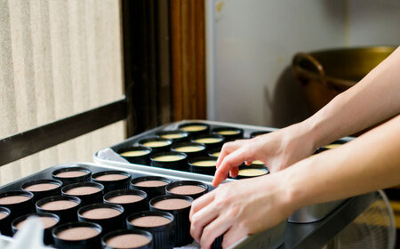 【化粧箱入】謹製どら焼き4個・甘酒プリン6個 / 佐賀県 / 小嶋や [41AEAN007]