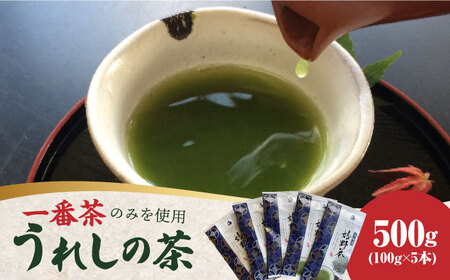 【一番摘み茶葉のみを使用！】老舗茶屋川原茶業の嬉野茶（一番茶かぶせ玉緑茶100g×5本入） / 佐賀県 / 株式会社川原茶業 [41AIAV004]