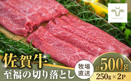 【ロマ佐賀】佐賀牛切り落とし 計500g（250g×2袋） / 佐賀県 / 有限会社佐賀セントラル牧場 [41ASAA017]