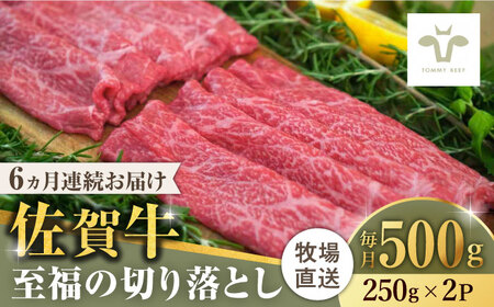 【ロマ佐賀】【全6回定期便】佐賀牛至福の切り落とし 計3kg（250g×2袋×6回） / 佐賀県 / 有限会社佐賀セントラル牧場 [41ASAA019]