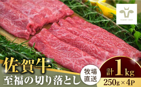 【ロマ佐賀】佐賀牛切り落とし 計1kg（250g×4袋） / 佐賀県 / 有限会社佐賀セントラル牧場 [41ASAA021] 10,650円
