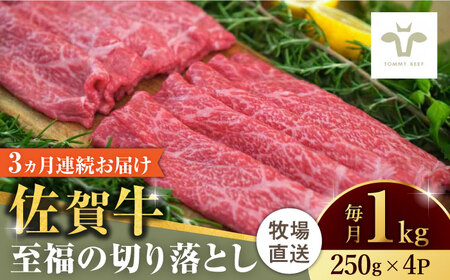 【牧場直送】【全3回定期便】佐賀牛至福の切り落とし 計3kg（250g×4袋×3回）/ 佐賀県 / 有限会社佐賀セントラル牧場 [41ASAA022]